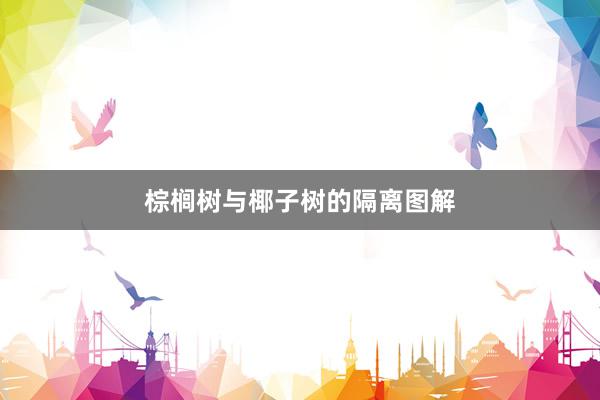 棕榈树与椰子树的隔离图解
