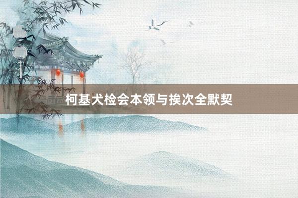 柯基犬检会本领与挨次全默契