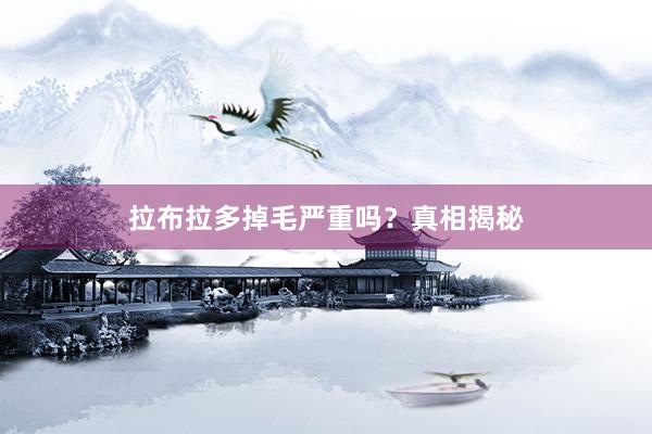 拉布拉多掉毛严重吗？真相揭秘