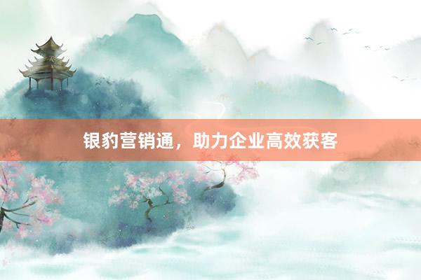 银豹营销通，助力企业高效获客